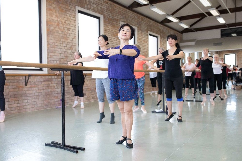 Ballet for Seniors Licensees Development Workshop 2