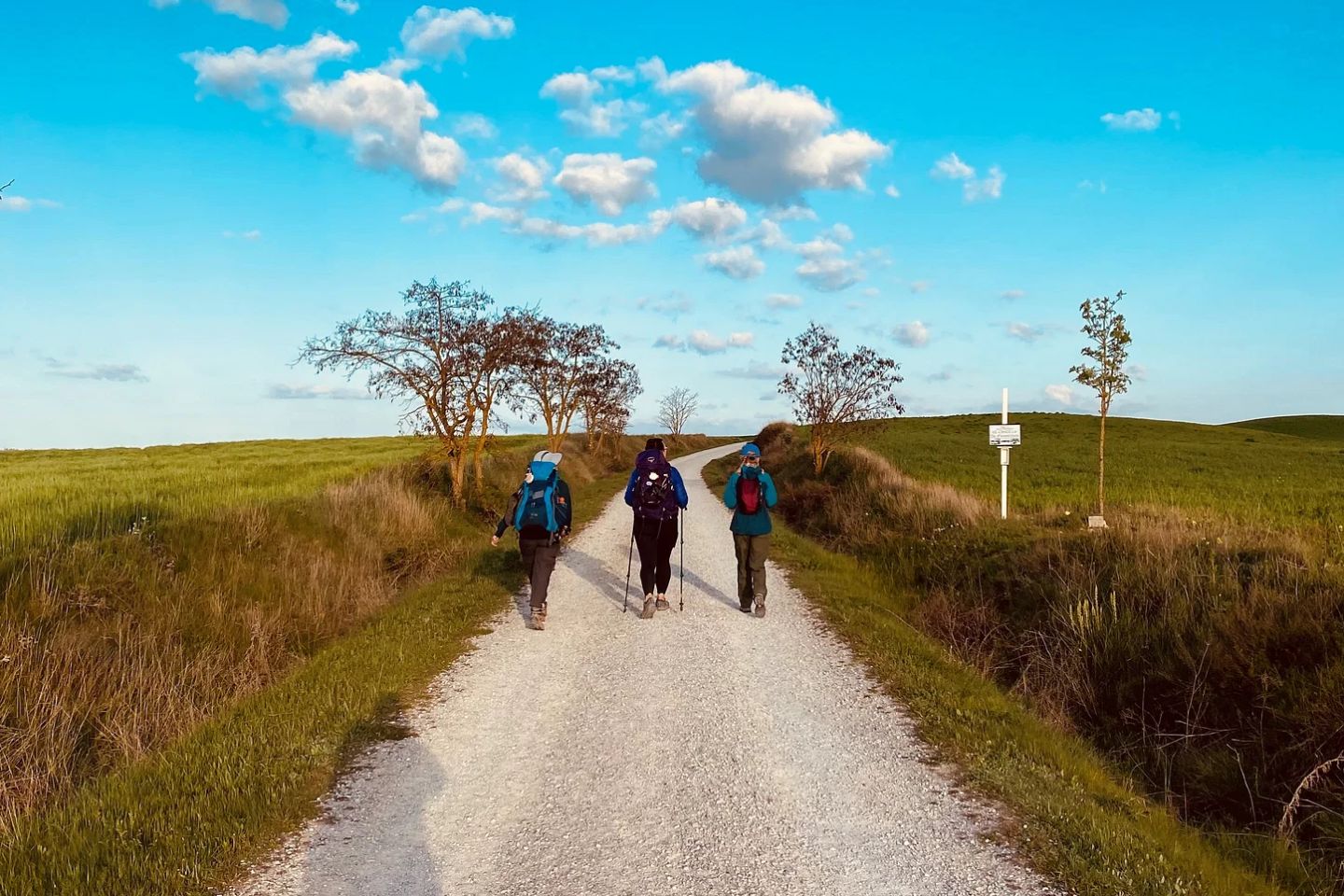 QB Camino de Santiago Adventure