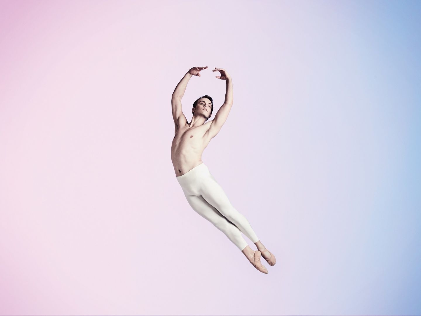 Audio described performances