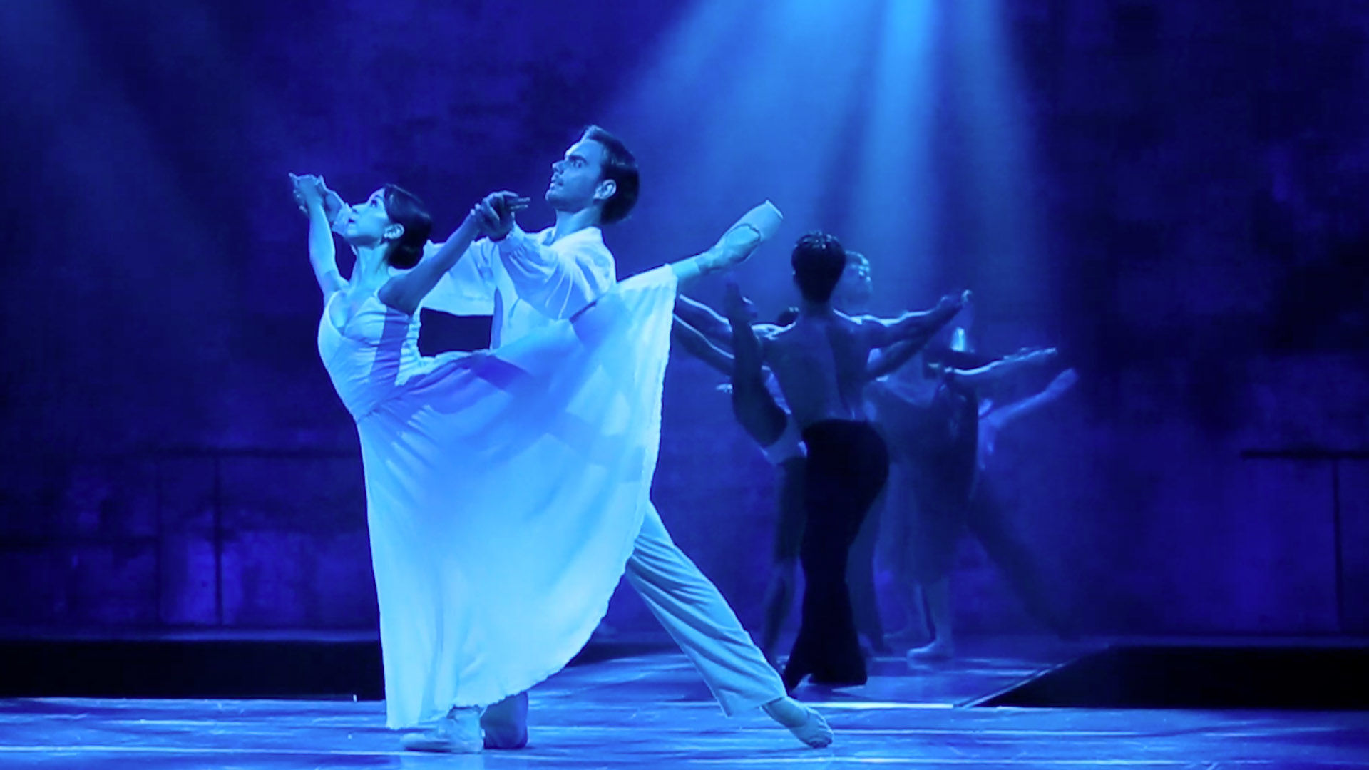 60 Dancers 60 Stories Live On Stage Queensland Ballet 60 Dancers 60 Stories Live On Stage Queensland Ballet