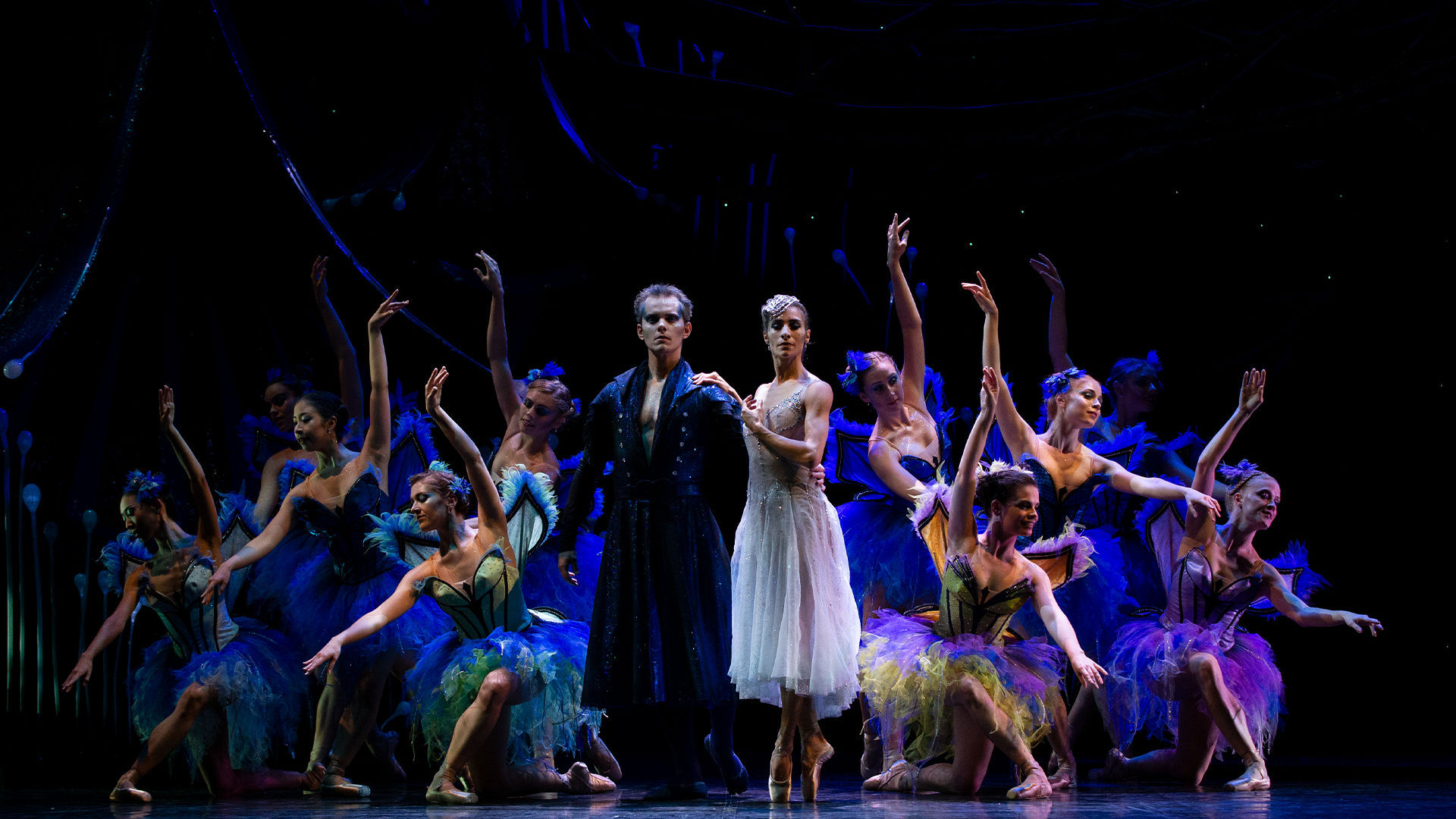 A Midsummer Night's Dream  Queensland Ballet Regional Tour - Queensland  Ballet