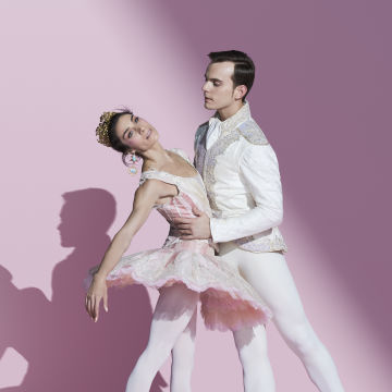 Cinderella Canberra Tour
