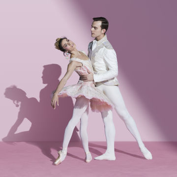 Cinderella Canberra Tour