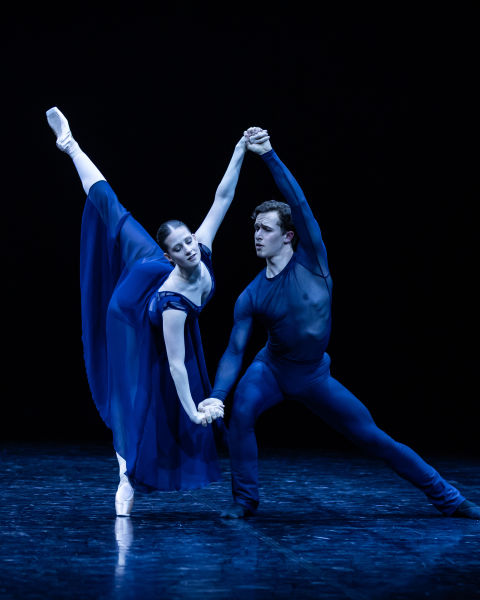 August is audition month at the Academy 
