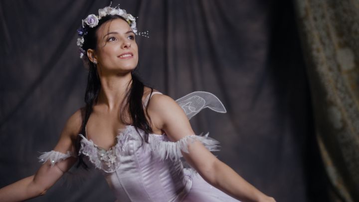 Wisdom Fairy