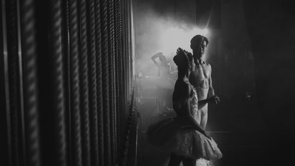 Queensland Ballet exists to share stories – it’s how we connect, communicate and learn.